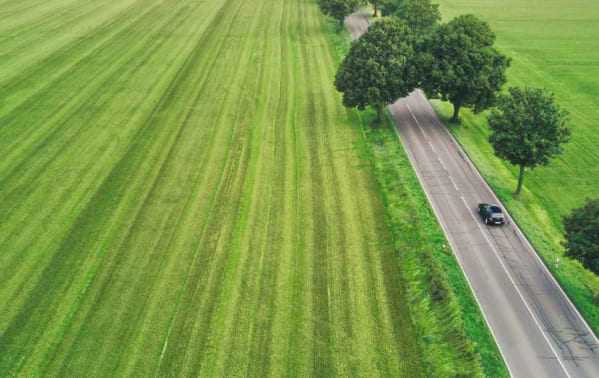 Nederlandse weg met groen landschap