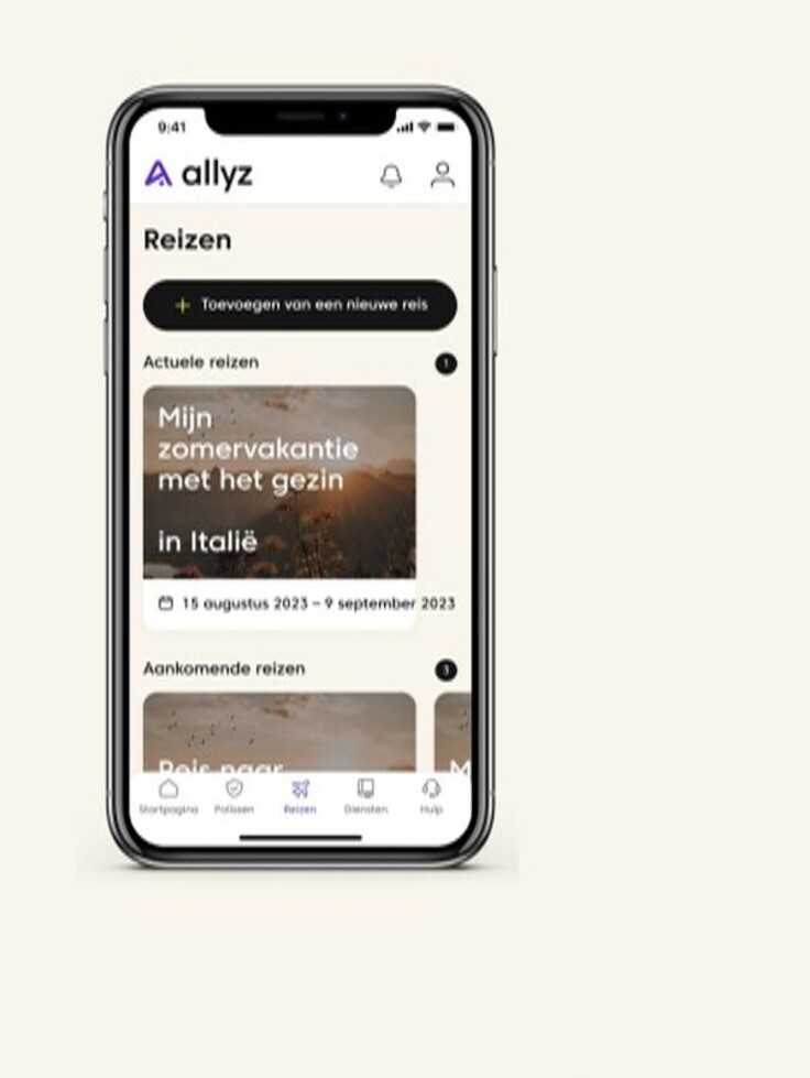 Allyz app
