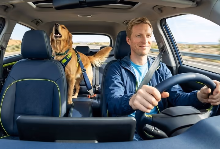 een man rijdt in zijn auto met zijn hond