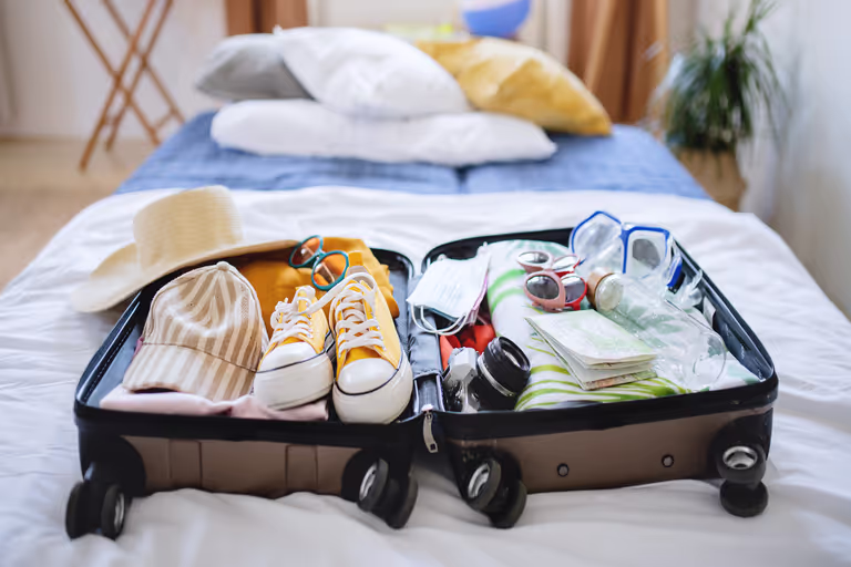 Handbagage