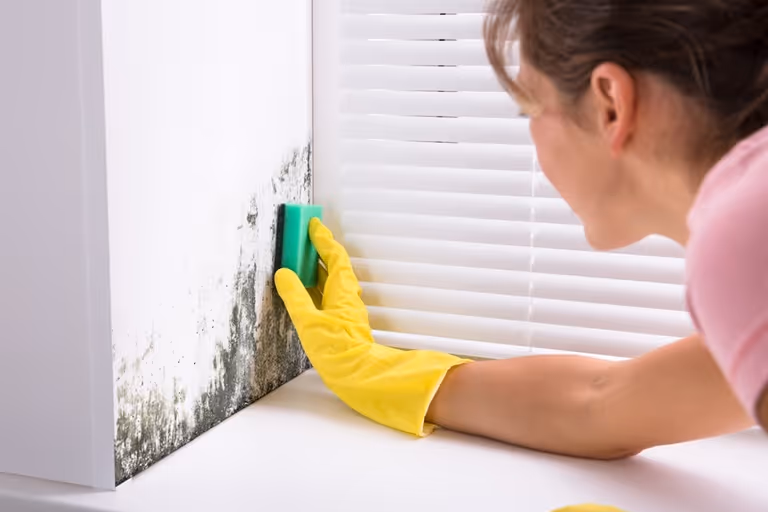 Vrouw probeert schimmel in badkamer weg te poetsen
