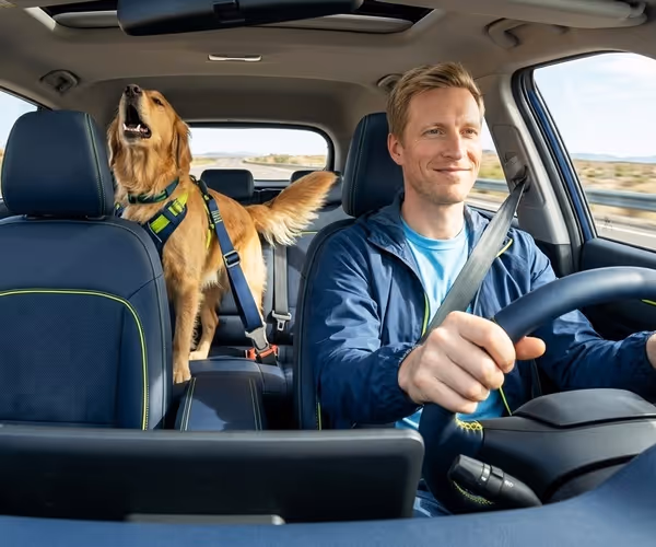 Een man rijdt vrolijk in zijn auto met een hond op de achterbank.